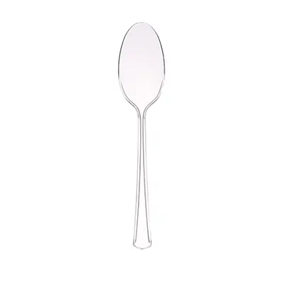 Strong Clear Plastic Spoon